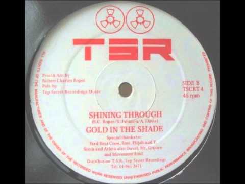 Gold In The Shade - Shining Through