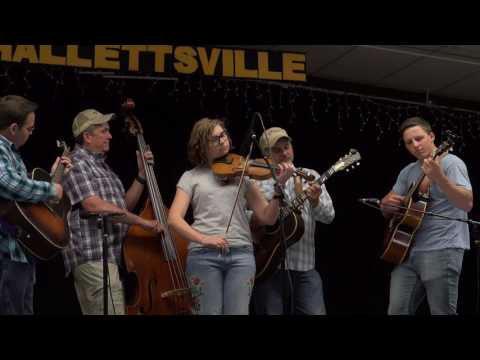 2017-04-23 TS1 Texas State Division Part 3 of 3 - 2017 Hallettsville Fiddle Contest