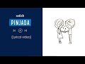 chaina saram chaina laja -PINJADA ( Lyrics Video )