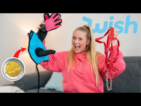 REITSACHEN bei WISH bestellen - Schnäppchen oder FAIL?😂