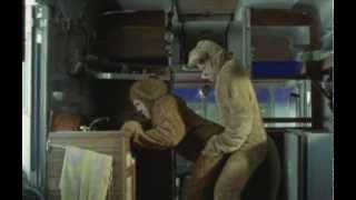 Wilfred- The Star