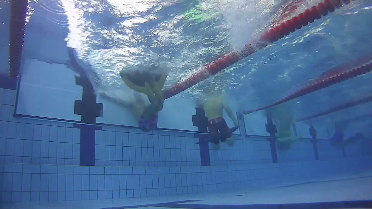 제98회 전국체전 남고등부 50m 결승