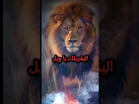 قائد وفي مغوار نيال الي بضهرو اخوه