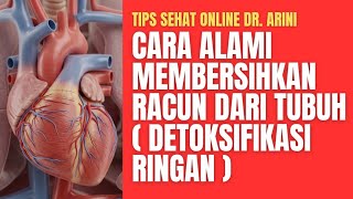 Download lagu Cara Alami Membersihkan Racun dari Tubuh — Detoksifikasi Ringan mp3 Download lagu Cara Alami Membersihkan Racun dari Tubuh — Detoksifikasi Ringan mp3