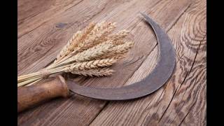 יום הנף  - עומר וברית מילה