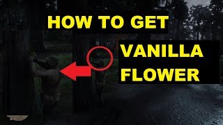 How to get vanilla flower (location) | Red dead redemption 2