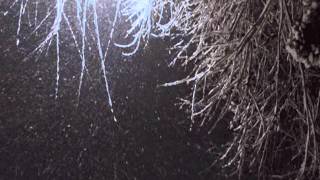 BOHREN UND DER CLUB OF GORE   Prowler