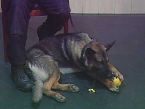 Portsmouth PD-TV - Episode 3