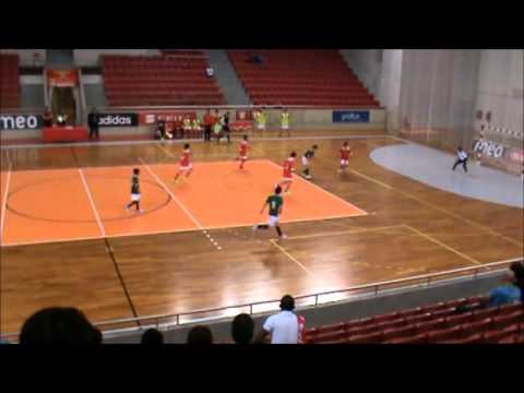 Leões de porto Salvo  vs Benfica