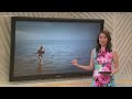 Digital Dive Should Women Be Allowed To Go Topless