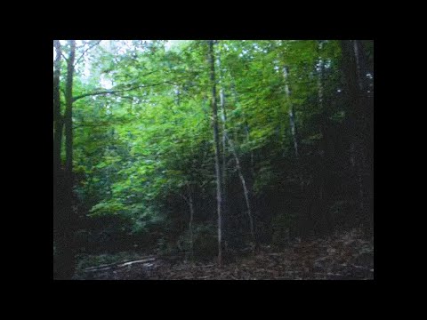 ✦ free yung lean type beat "brainfog2"