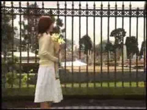 SnowFlower - Park Hyo Shin