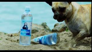 David Guetta featuring Surf Beachclub