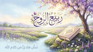 Lofi Recitation by Abdulrhman Masad | Relaxing Quran for Deep Sleep