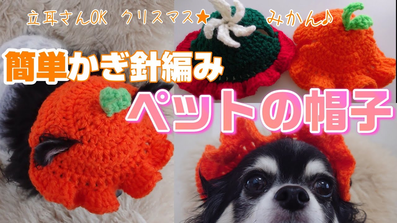 【かぎ針編み犬用帽子】アクリル100均毛糸可愛さ全開 クリスマス＆みかん 立耳さんも猫ちゃんもピッタリなペットの帽子の編み方です
