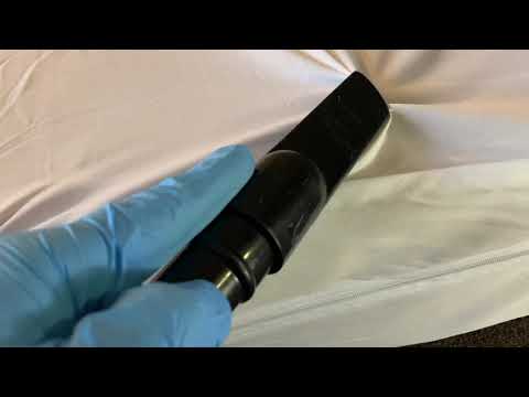 Bed Bugs Found in Bradly Beach, NJ