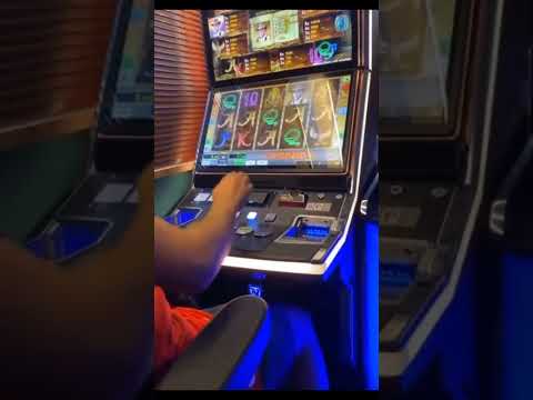 Book of RA in KNEIPE ZERSTÖRT (spielo)