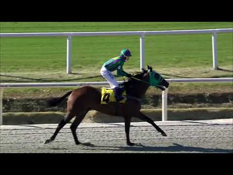 210314 c01 MR. SIASTIC