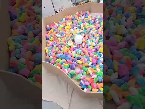 Pintinhos na feira 😱🐥 Olha isso! #Shorts