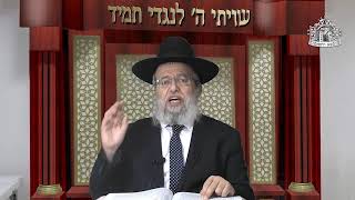 דף היומי בחצי שעה - עירובין דף ס"ט