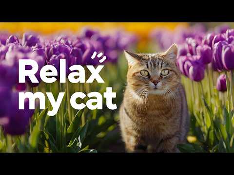 EXTREMELY Soothing Cat Therapy Music - Relax Your Cat! Cat Music - Music to Help Your Kitty Sleep