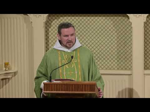 Readings and Homily - 2026-01-29 - Fr. Patrick
