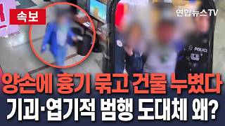 Download lagu [🔴속보] 양손에 흉기 묶고 지하부터 지상까지 건물 누볐다…기괴하고 엽기적인 폭주 도대체 왜?｜범죄분석가가 분석한 범행 특징/ 연합뉴스TV(YonhapnewsTV) mp3