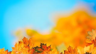 החן והחשיבות של ישראל | אבני דרך יסודות ועיונים בדרכו ותורתו של רבי נחמן מברסלב זיע"א (הרב ברוך זרובבל) - התמונה מוצגת ישירות מתוך אתר האינטרנט יוטיוב. זכויות היוצרים בתמונה שייכות ליוצרה. קישור קרדיט למקור התוכן נמצא בתוך דף הסרטון