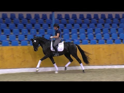 St v Finest x Floriscount x Rohdiamant 2019