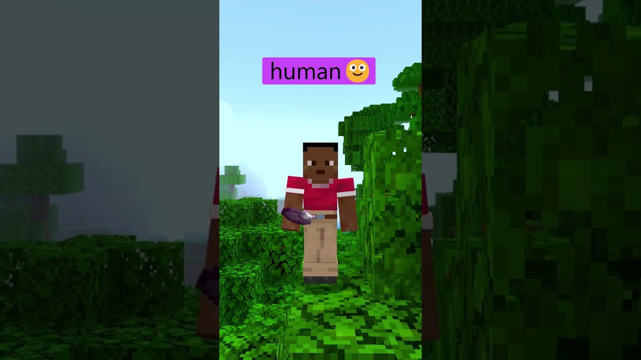Human😀vs Herobrine💀0846 #minecraft #Herobrine #shorts