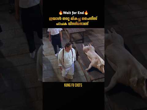ചൈനീസ് പാചക വിദഗ്ധൻ | Kung Fu Chefs | malayalam movie explanation