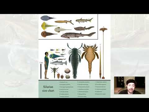 GLG102IN Online - Unit 10 Lecture Section 4 - Silurian