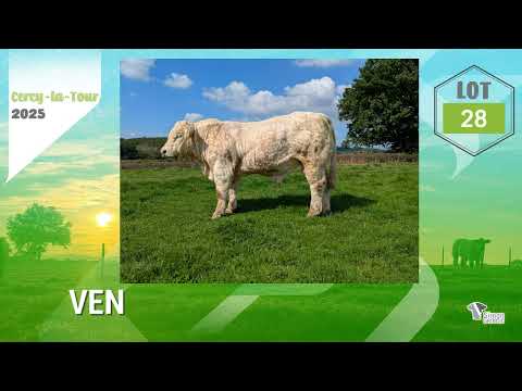 Lot 28 - Sélection SG 2025