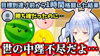 裏作業で3000点手前のスイカゲームで怒り散らす兎田ぺこらが面白すぎるw【ホロライブ/切り抜き】