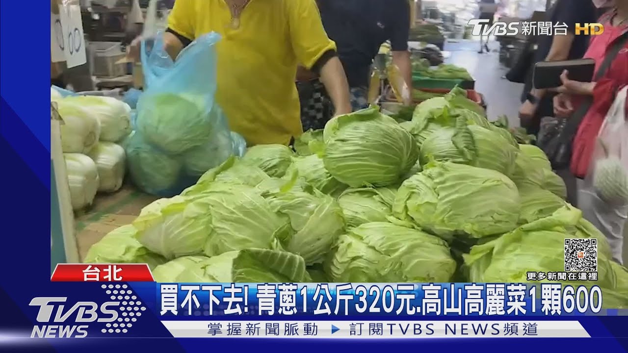 買不下去!青蔥1公斤320元、高山高麗菜1顆600