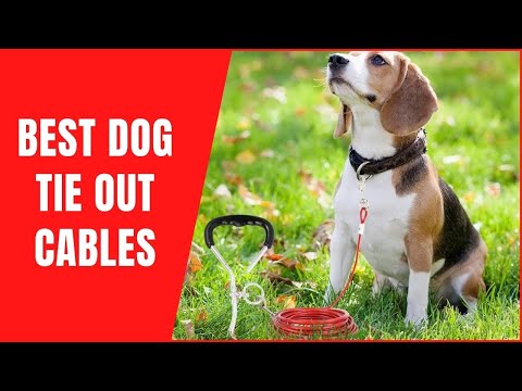 Best Dog Tie Out Cable - Top Aerial Dog Runs
