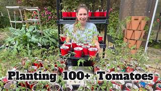 Planting 100+ Tomato Plants 🌱 My Garden Setup for a Huge Harvest