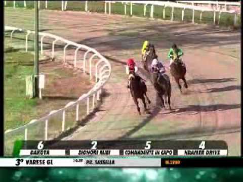 05/11/2013, Varese , Premio Sassella