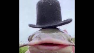 Relaxed || SPED UP || 1 HOUR