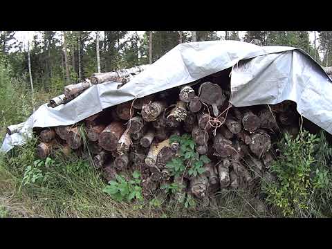 Metsolan Metsäkoulu 171 - uuni ois, mistä puita? Polttopuunteon ABC