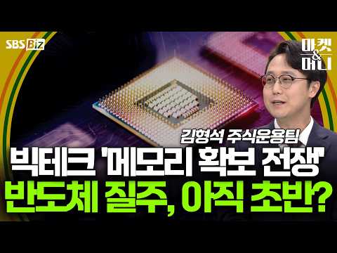 빅테크 '메모리 확보 전쟁' 반도체 질주, 아직 초반? [셀럽의 한 수]