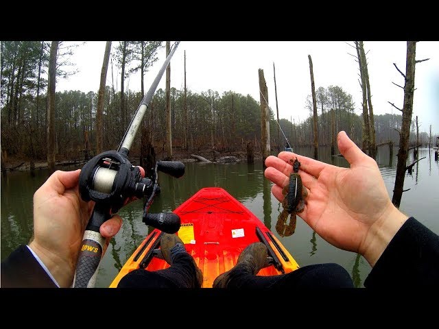 Fishing a FLOODED Forest for HUGE Bass in a KAYAK (WEIRD Fish Catch)
