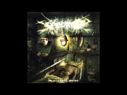 Aborted - Blood Fixing the Bled