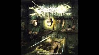 Aborted - Blood Fixing the Bled