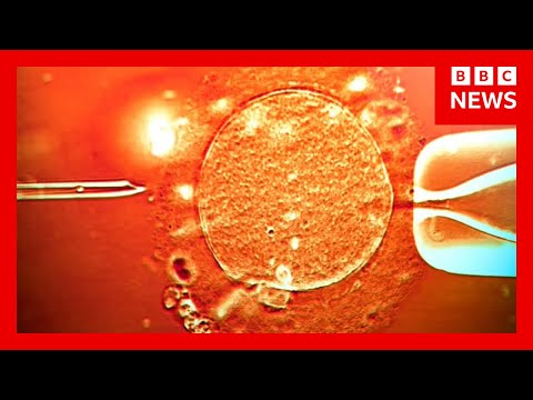 Video | Sperm from donor with cancer-causing gene was used to conceive almost 200 children | BBC News