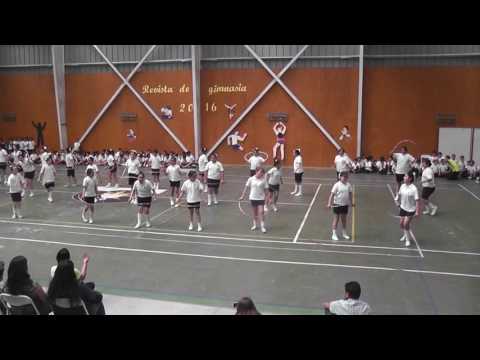 Revista de Gimnasia 5° Básico A