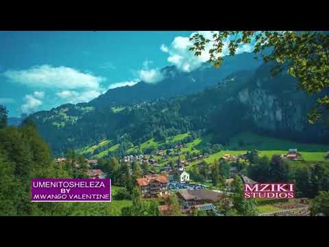 Umenitosheleza Official Video