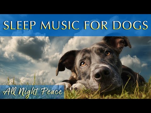 Dog Sleep Music 432Hz – All-Night Relaxation for Calm, Comfort & Peace