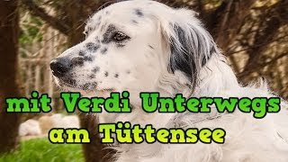 preview picture of video 'mit meinen Hund Verdi Unterwegs am Tüttensee'