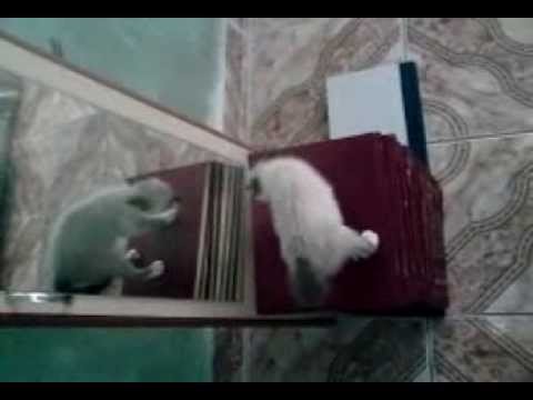 Cris Marie a outra filha ♥